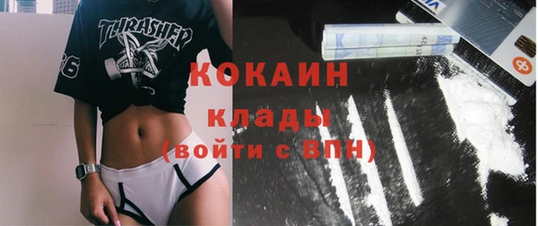 мет Каменка