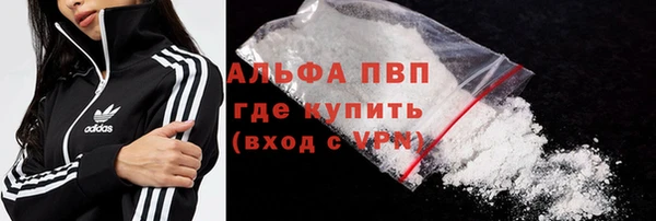 ешки Каменногорск
