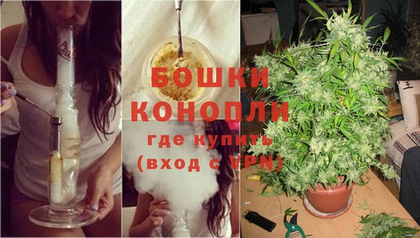ешки Каменногорск