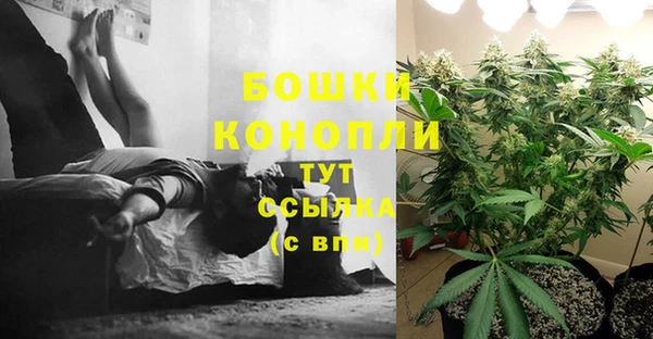 PSILOCYBIN Каменск-Шахтинский