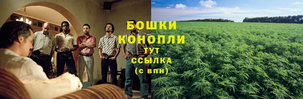 мет Каменка
