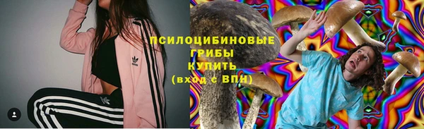 PSILOCYBIN Каменск-Шахтинский